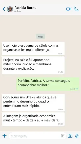 Depoimento de professora Patrícia Rocha