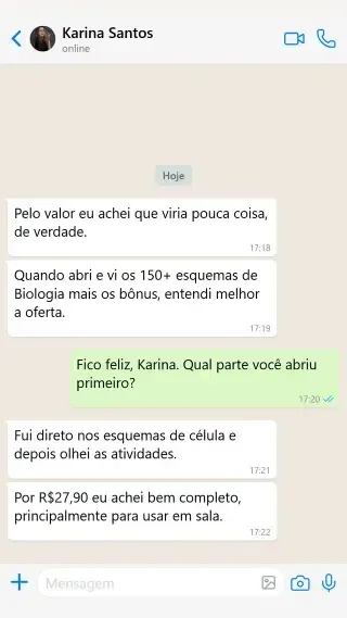 Depoimento de professora Karina Santos